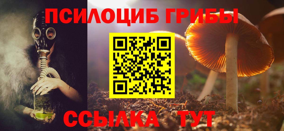 Галлюциногенные грибы Psilocybe  Вход с VPN  Рославль 